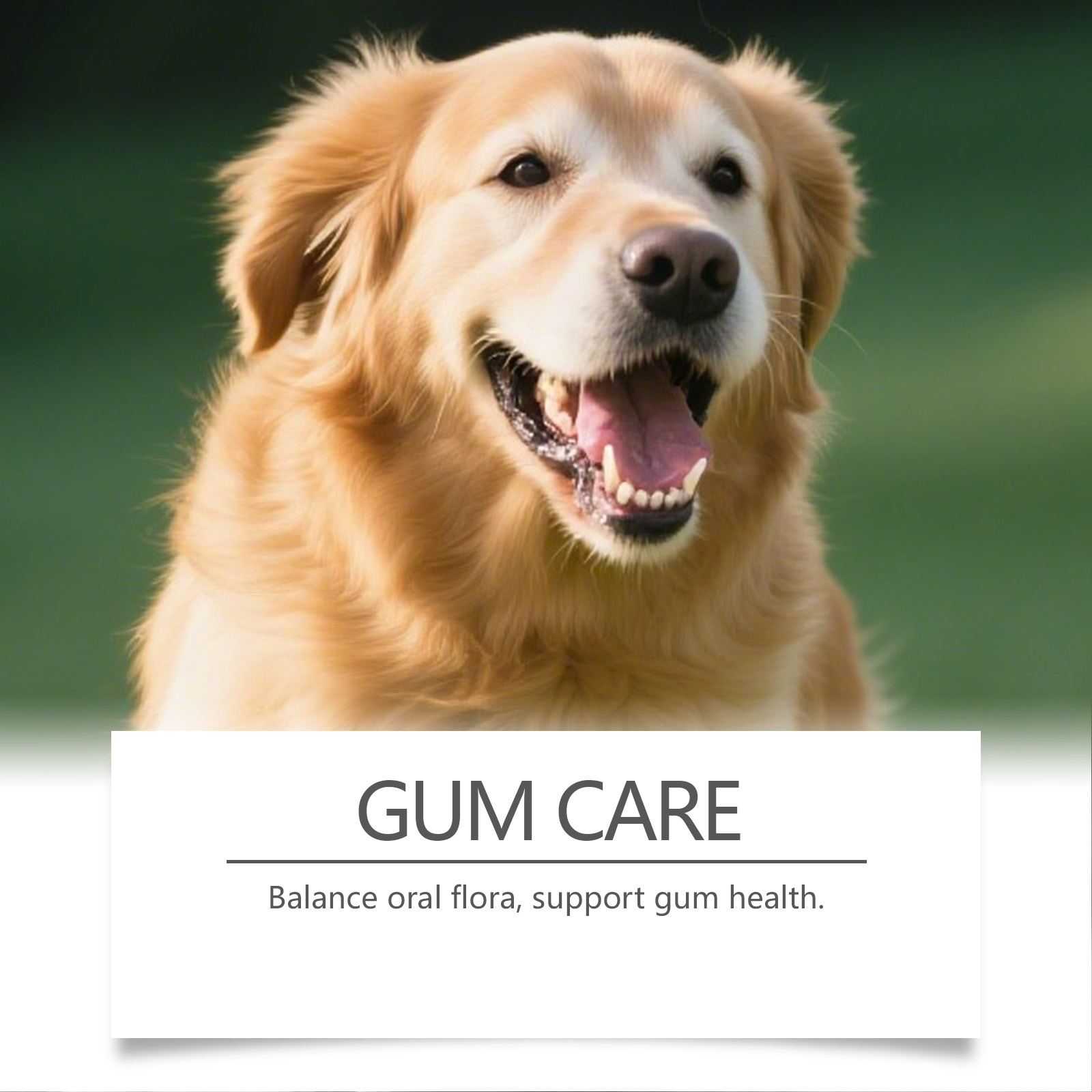 Dog Dental Care Powder Cat Bre - огляд і ціна Teeth Whitening Mouthwash