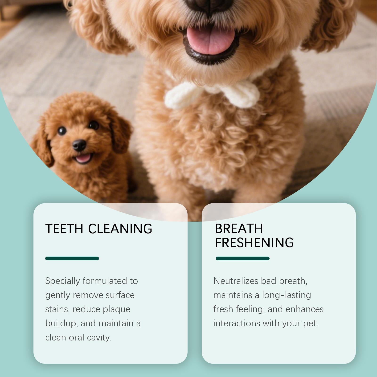 Dog Tooth Cleaning Powder Plaq - огляд і ціна Teeth Whitening Mouthwash